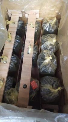 Bomba de pistão hidráulica de cilindro único A10vg28 para máquinas de construção de escavadeiras