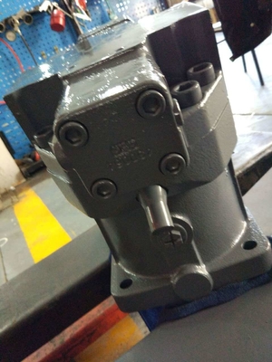 Pomba hidráulica para a personalização da bomba Rexroth