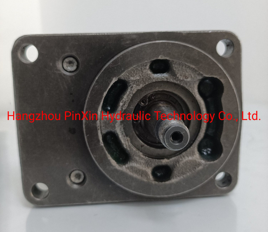 Dente Flanco Dente Direito Azmf-10-011USA20ml Bomba de engrenagem para bomba hidráulica Rexroth